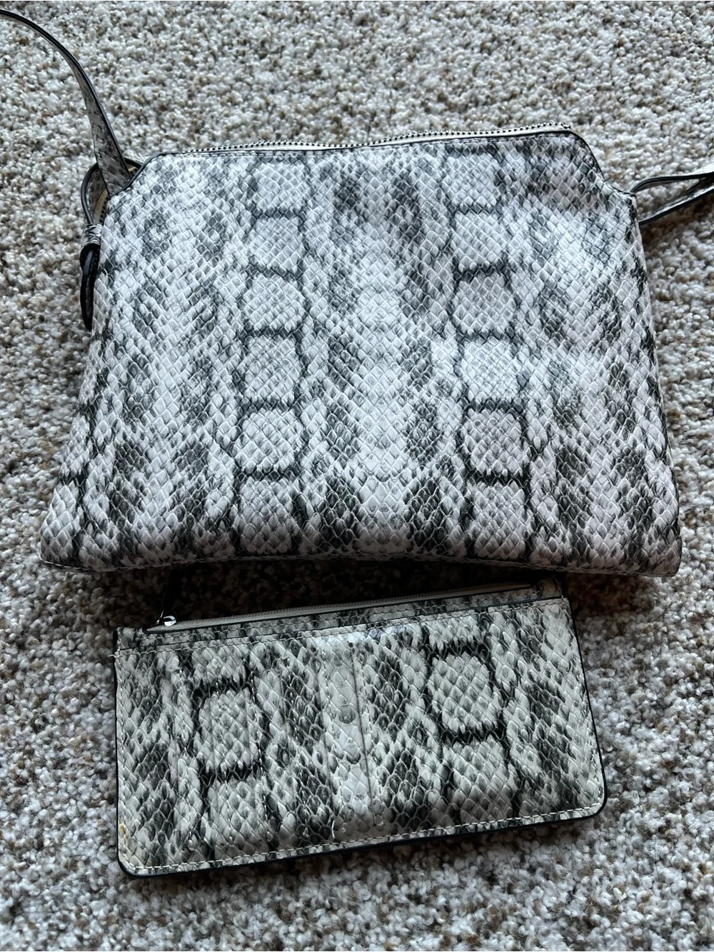 A New Day Snake-Print Crossbody Bag with Matching Card Holder